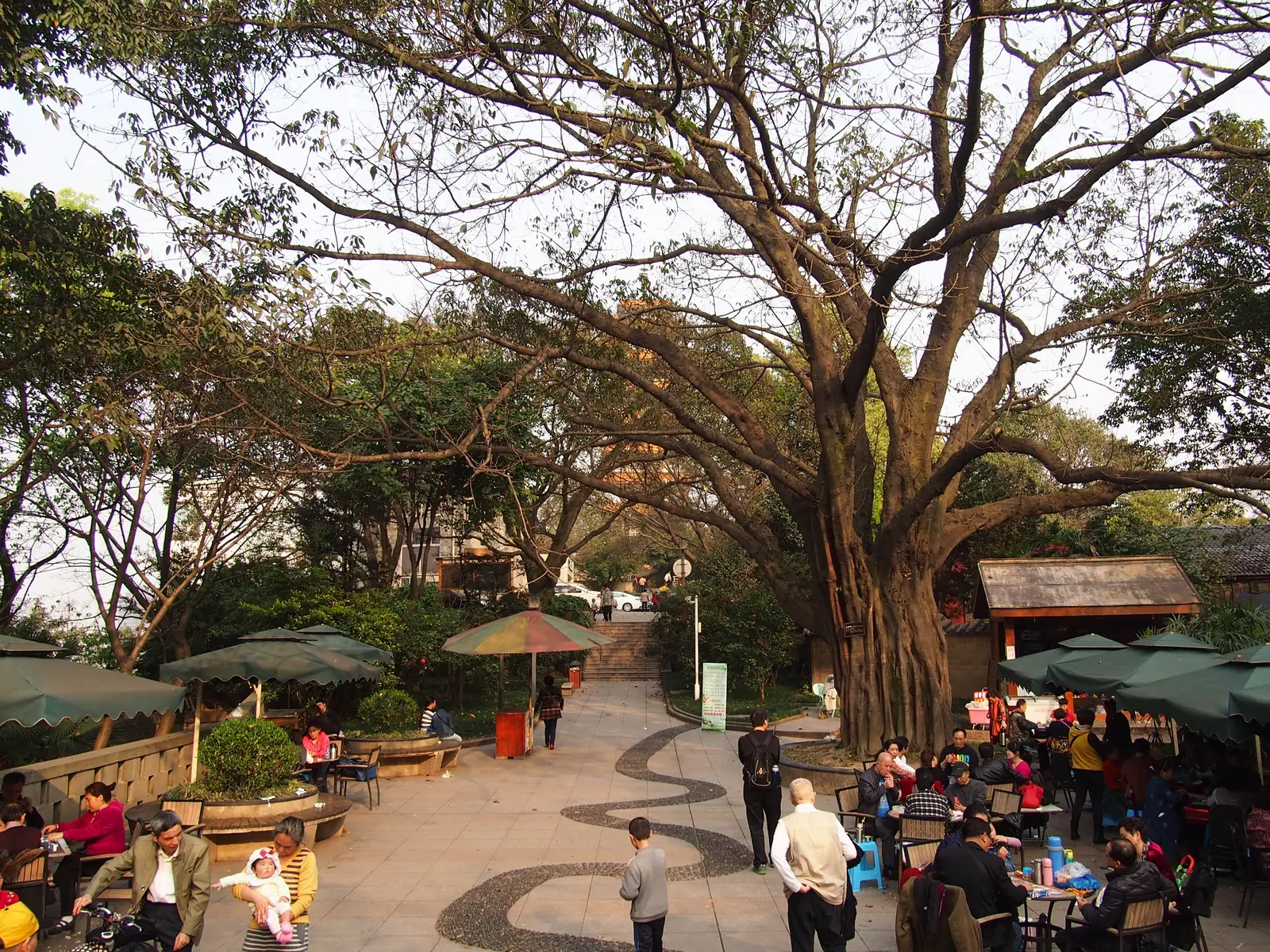 Parque Eling