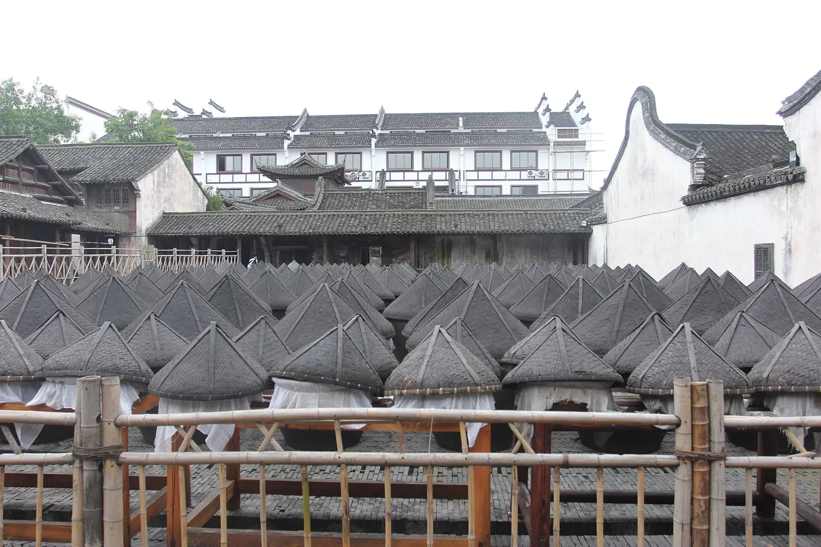 Wuzhen