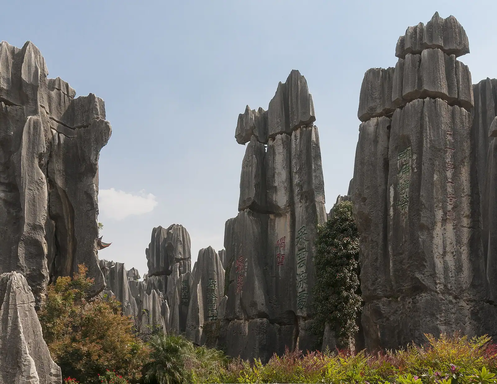 Stone Forest (Shilin)